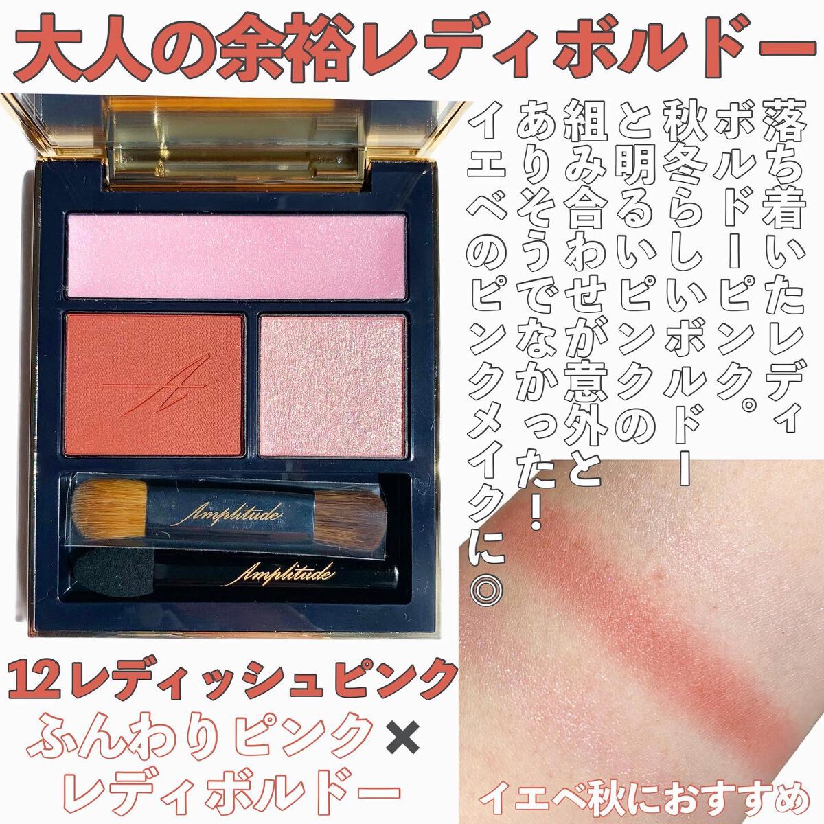 コンスピキュアス アイズ/Amplitude/アイシャドウパレットを使ったクチコミ(6枚目)