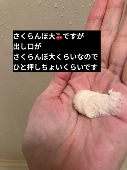 ワフードメイド 酒粕パック/pdc/洗い流すパック・マスクを使ったクチコミ(3枚目)
