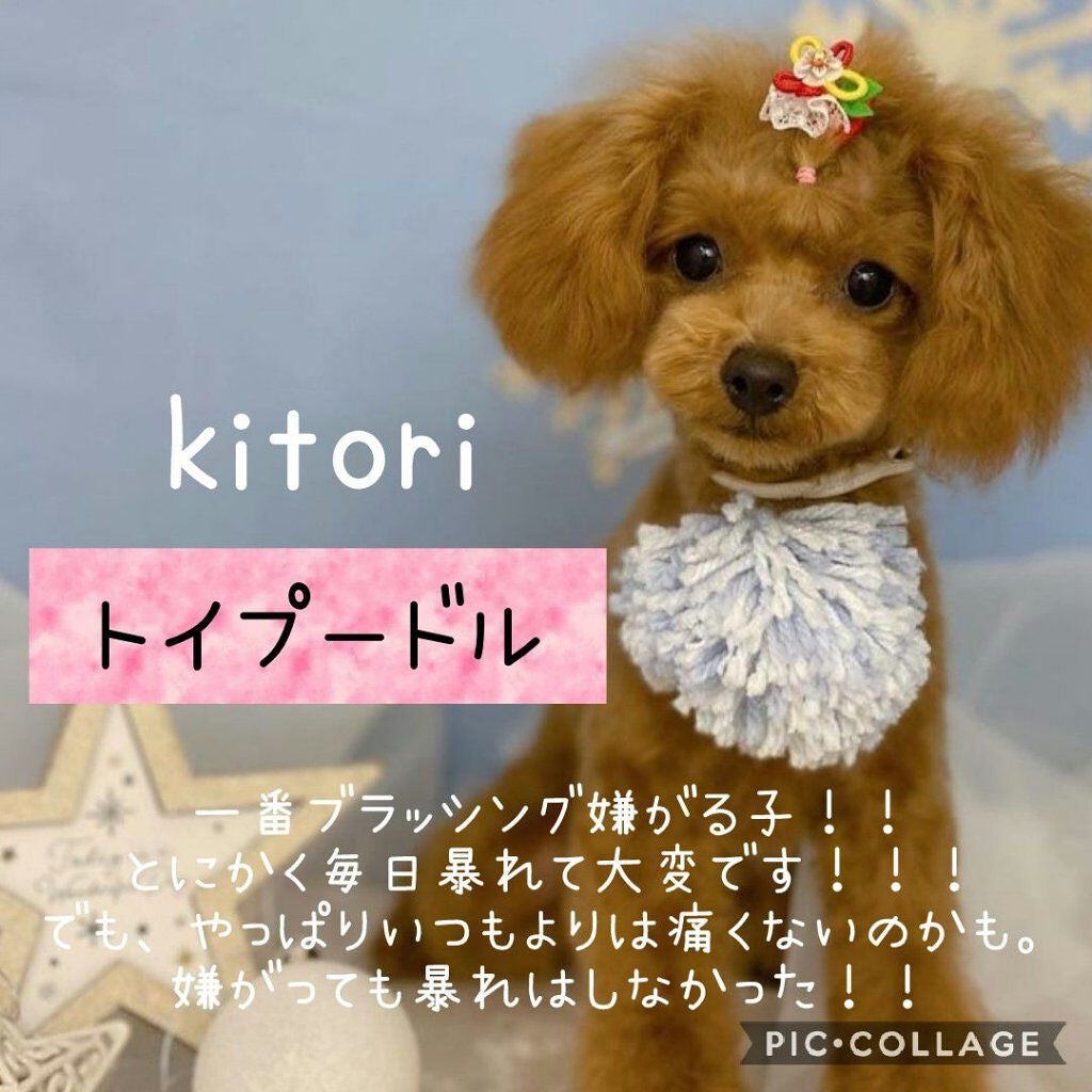 ペットティーザー パピー/TANGLE TEEZER/その他を使ったクチコミ(5枚目)