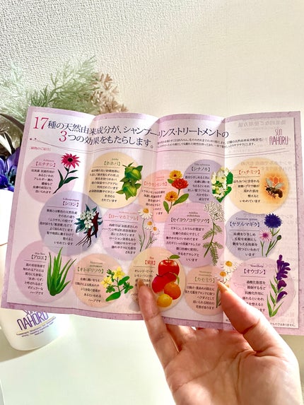 Shiho Arai on LIPS 「知る人ぞ知る著名人も愛用"贅沢な天然成分の力で頭皮の健康..」(5枚目)