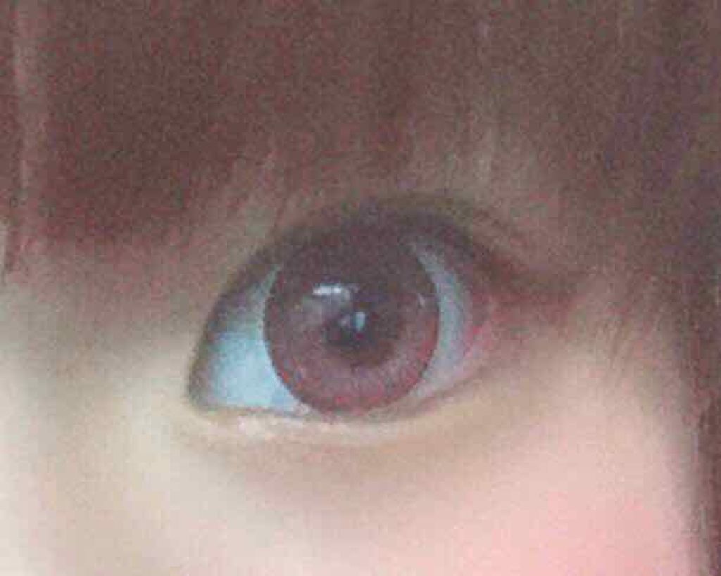 USAGI fatale by Twinkle Eyes/TwinkleEyes/カラーコンタクトレンズを使ったクチコミ(2枚目)