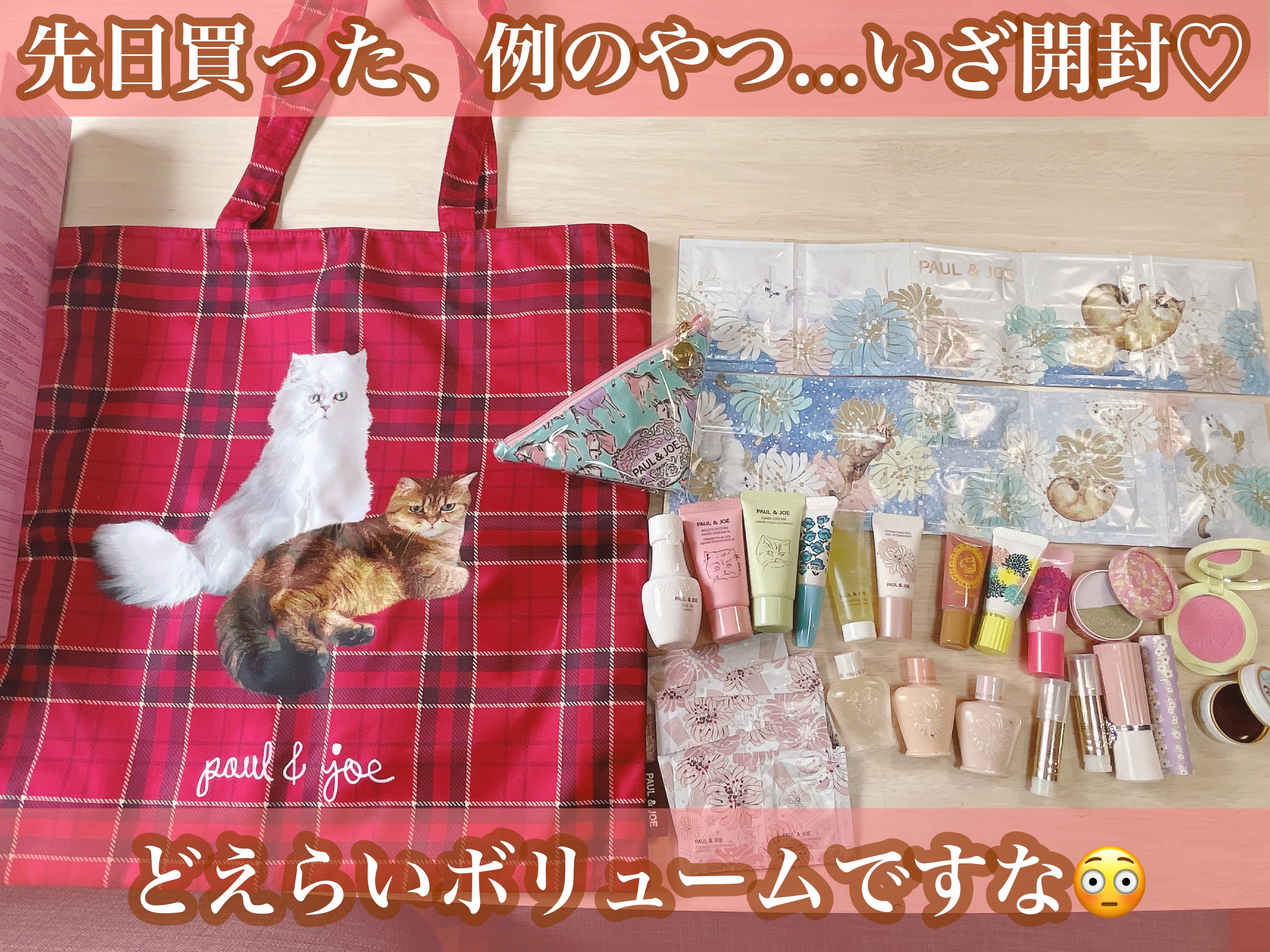 メイクアップ コレクション 2023/PAUL & JOE BEAUTE/メイクアップキットを使ったクチコミ（1枚目）