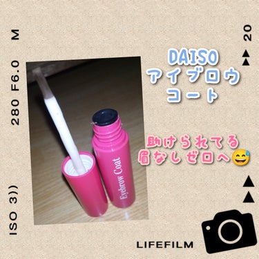 アイブロウコートDA/DAISO/アイブロウコートを使ったクチコミ（1枚目）