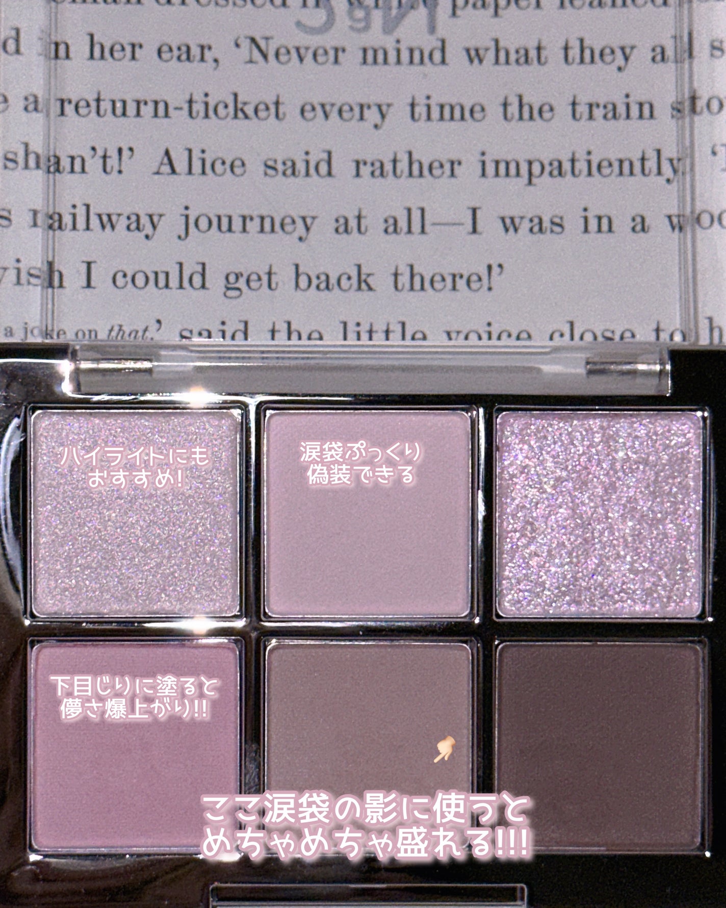 ベターミーアイパレット/2aN/マルチパレットを使ったクチコミ(2枚目)