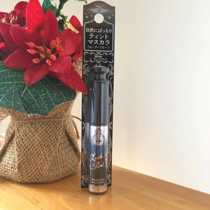 ラッシュティント/MAJOLICA MAJORCA/マスカラを使ったクチコミ(1枚目)