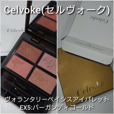 ヴォランタリーベイシス アイパレット/Celvoke/パウダーアイシャドウを使ったクチコミ（2枚目）