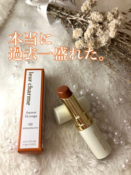 フォーエバー フィット ルージュ 02 terracotta eve(テラコッタイヴ)/leur charme/口紅を使ったクチコミ(1枚目)