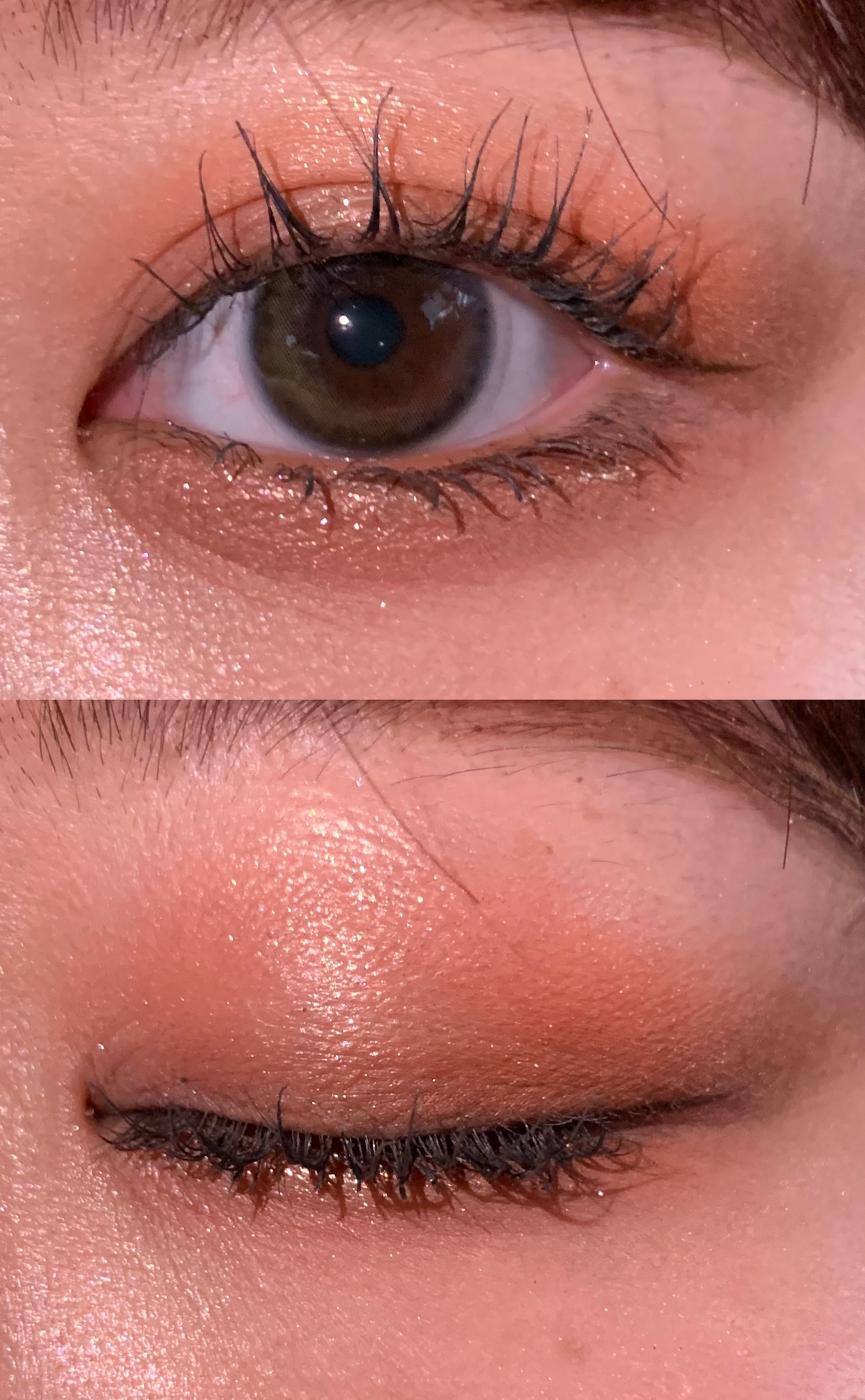 ホリデー アディクション　サイレント ウィッシュⅡ /ADDICTION/メイクアップキットを使ったクチコミ（2枚目）