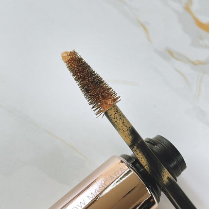 スタイリングアイブロウマスカラ/LUNASOL/眉マスカラを使ったクチコミ(3枚目)