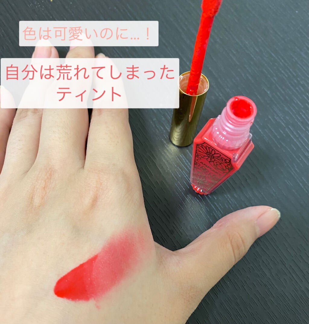 リップティントマット/キャンメイク/リップグロスを使ったクチコミ(1枚目)