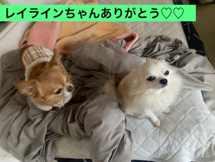 ニューアンビエンスカラーアイライナー インフィニット/hince/リキッドアイライナーの画像