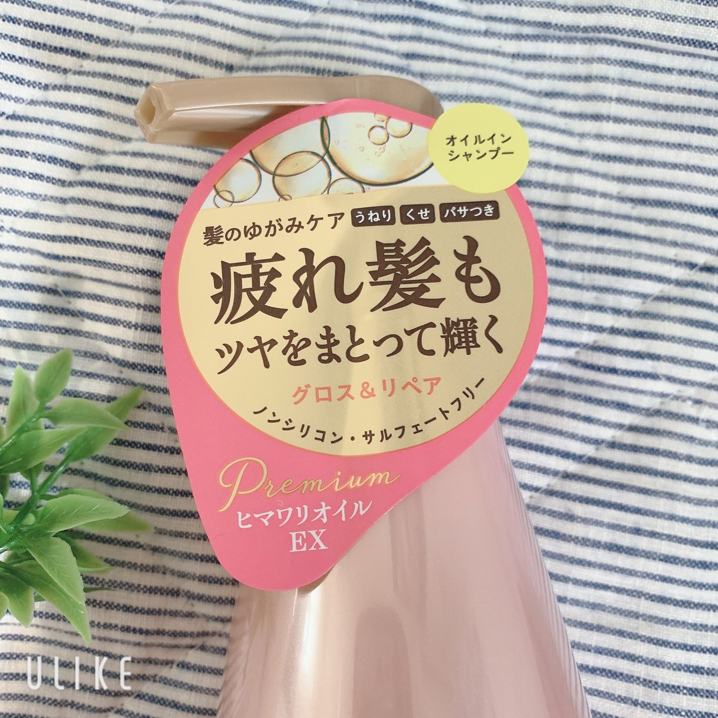 オイルインシャンプー/オイルインコンディショナー (グロス&リペア)/ディアボーテ/市販シャンプーを使ったクチコミ(2枚目)