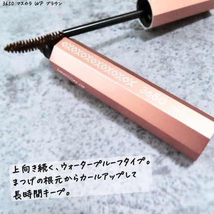 マスカラ WP/3650/マスカラを使ったクチコミ(2枚目)