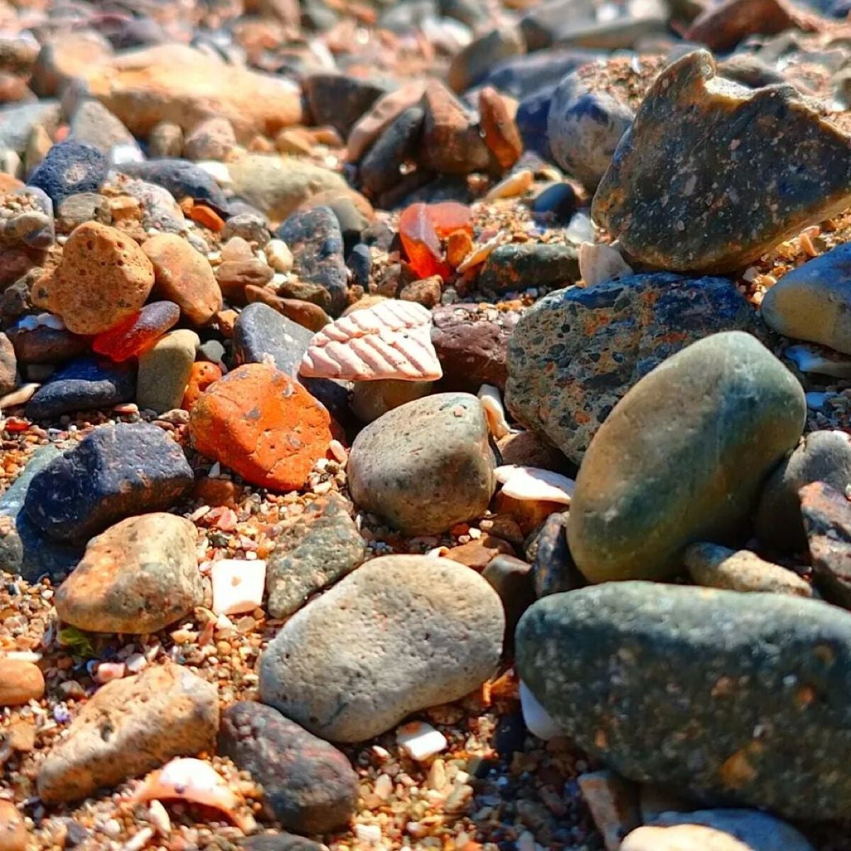 seiko_official on LIPS ãokayamaðïžhimeji#scioscio#ã·ã§ãŒã·ã§ãŒ..ãïŒ5æç®ïŒ