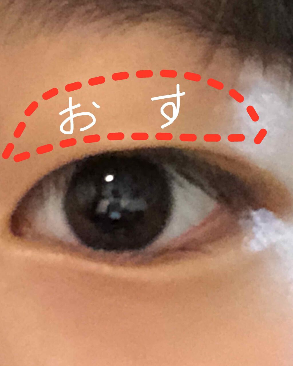 ☁︎︎フワ☁︎︎フォロバします! on LIPS 「こんばんは!さっき投稿したばかりなのですがどうしても二重につい..」(2枚目)