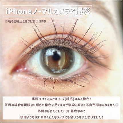 エバーカラーワンデー ナチュラル/エバーカラー/ワンデー(1DAY)カラコンを使ったクチコミ(5枚目)