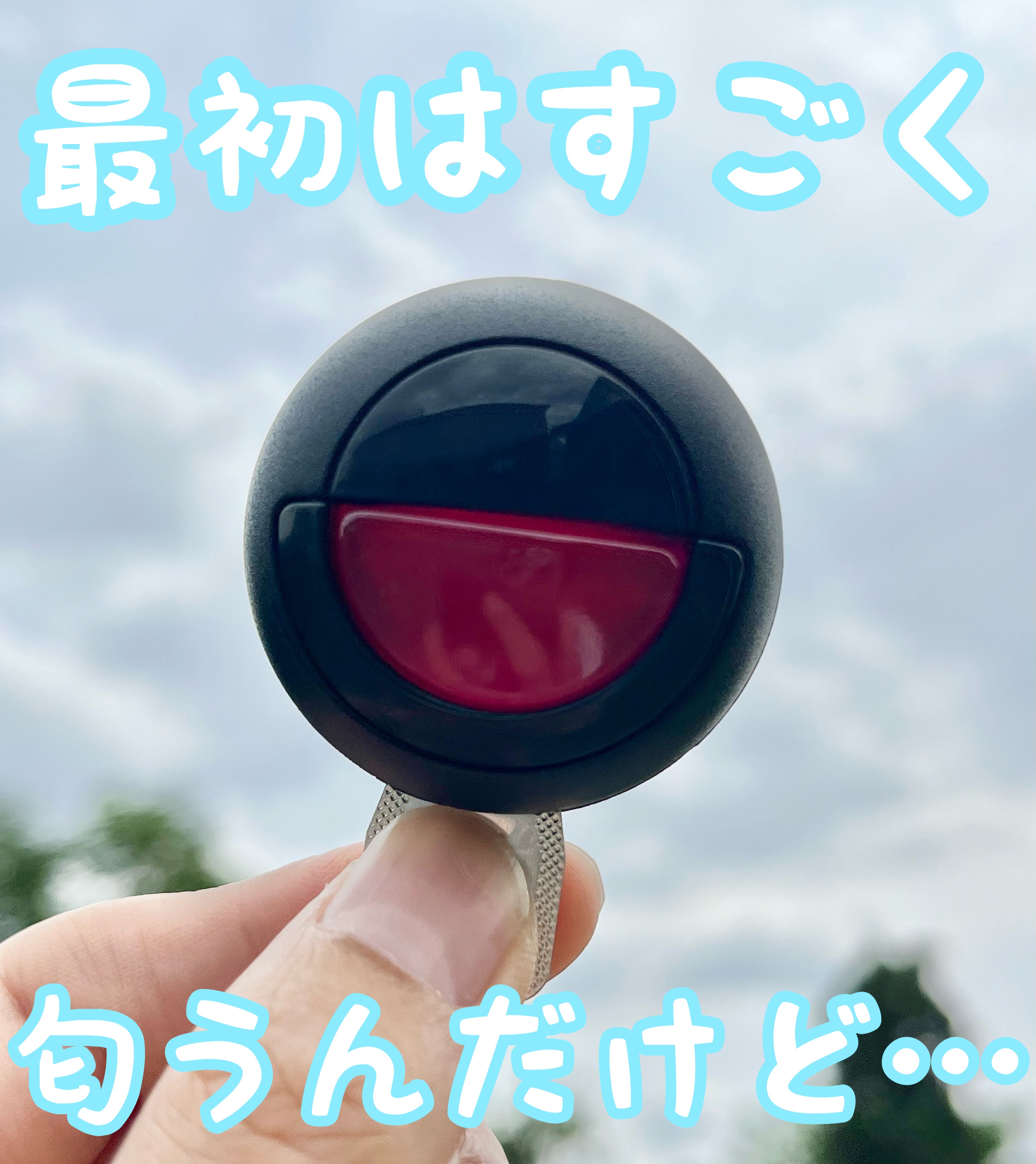 クルマの消臭力 フローラルの香り/エステー/その他を使ったクチコミ（1枚目）