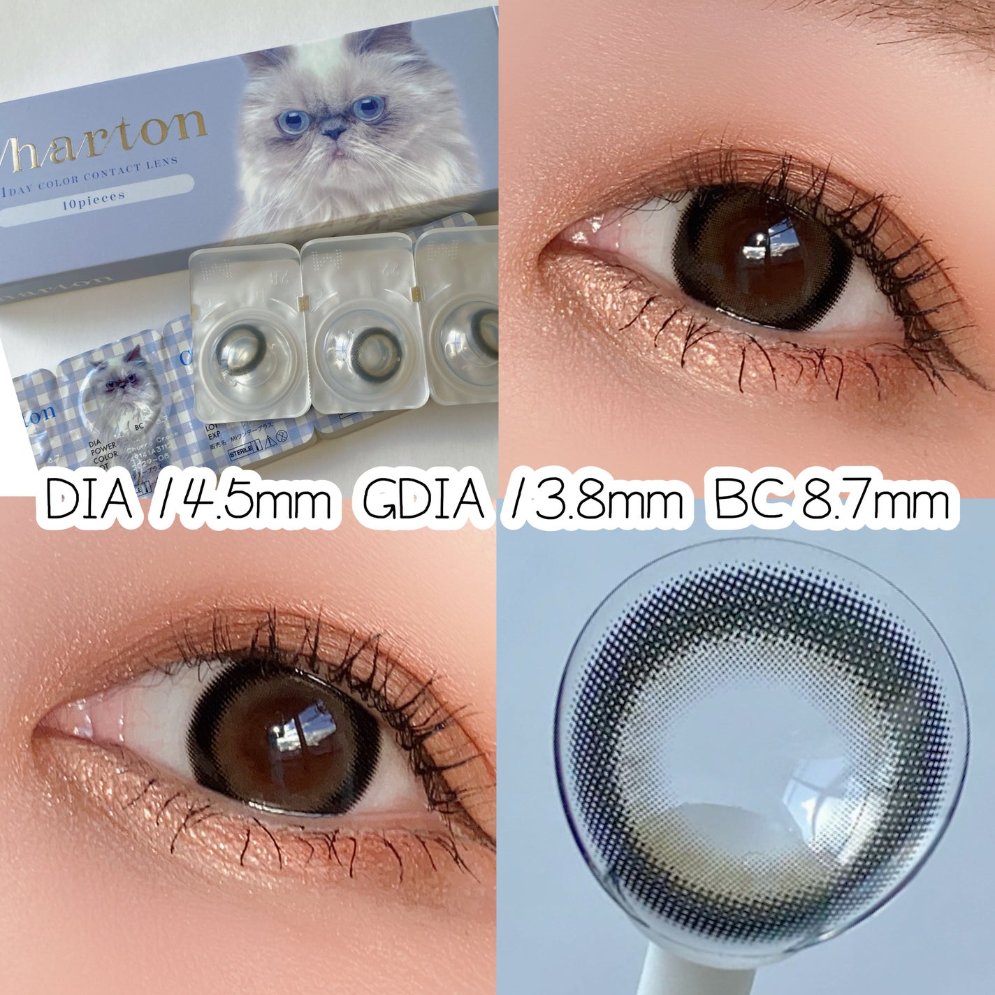 Charton 1day/Charton/ワンデー(1DAY)カラコンを使ったクチコミ(2枚目)