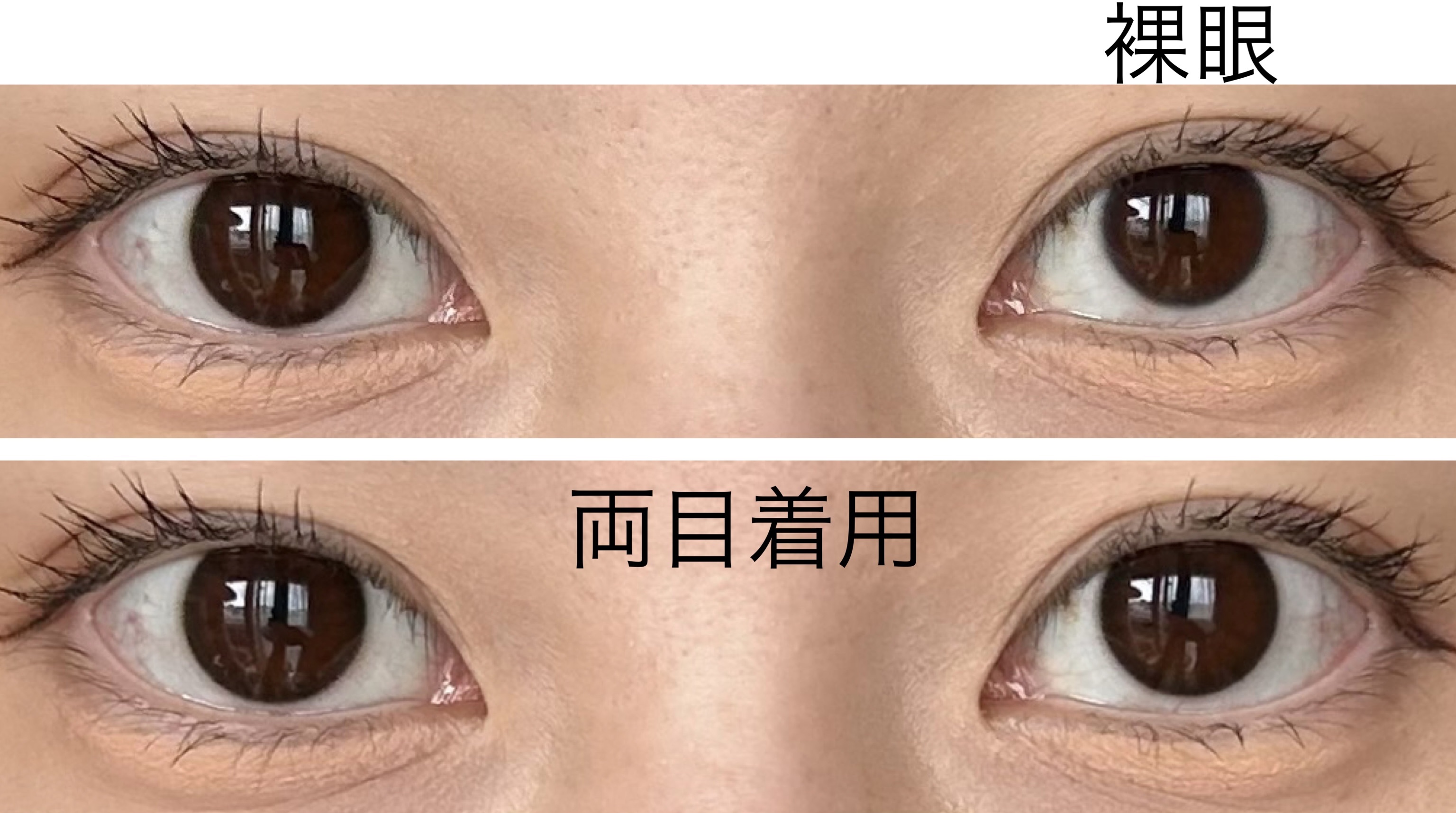 EDNA 1day/EDNA/ワンデー（１DAY）カラコンを使ったクチコミ（2枚目）