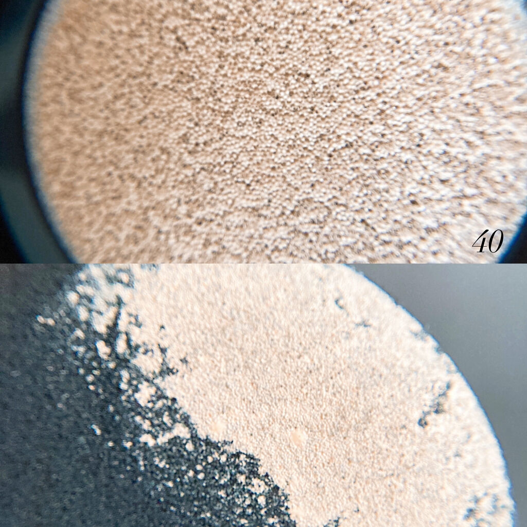 クリエイターズ ロングウェア UV クッション/ブリリアージュ/クッションファンデーションを使ったクチコミ（3枚目）