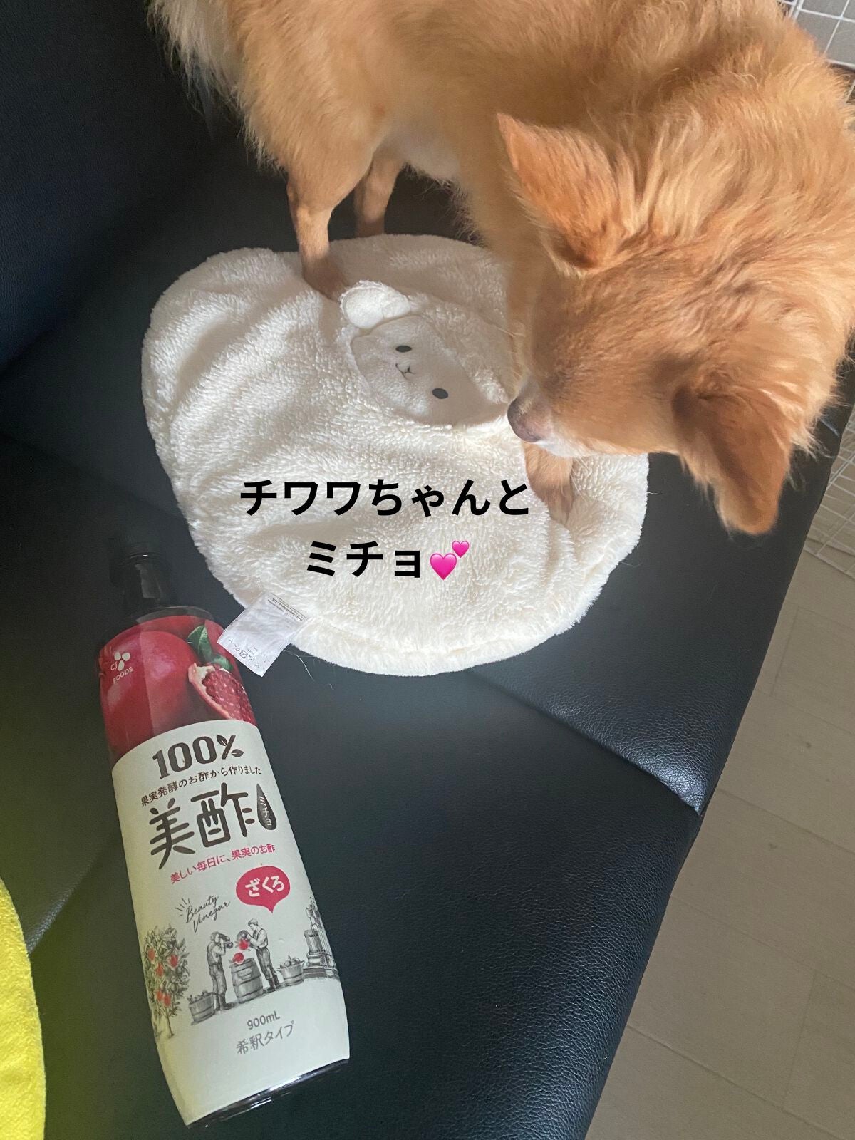 美酢 (希釈タイプ)/美酢(ミチョ)/その他飲むお酢を使ったクチコミ(3枚目)