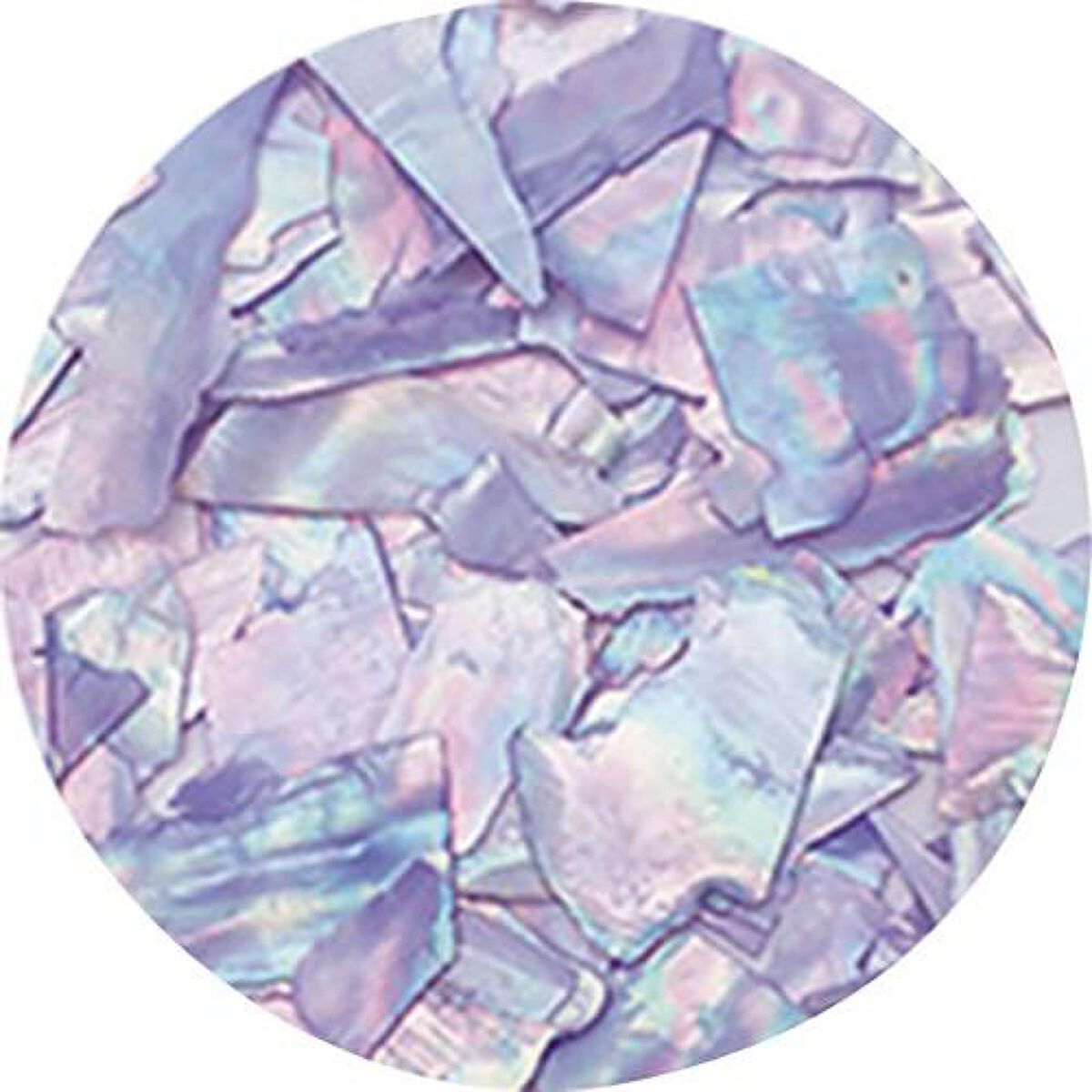 ナチュラルビーチシェル BZ16 ブルーオパール