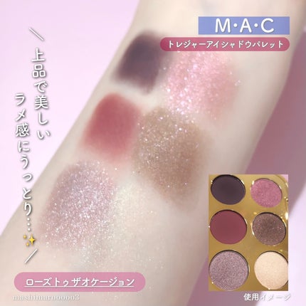 トレジャー アイシャドウ パレット ×6/M・A・C/アイシャドウパレットを使ったクチコミ(9枚目)