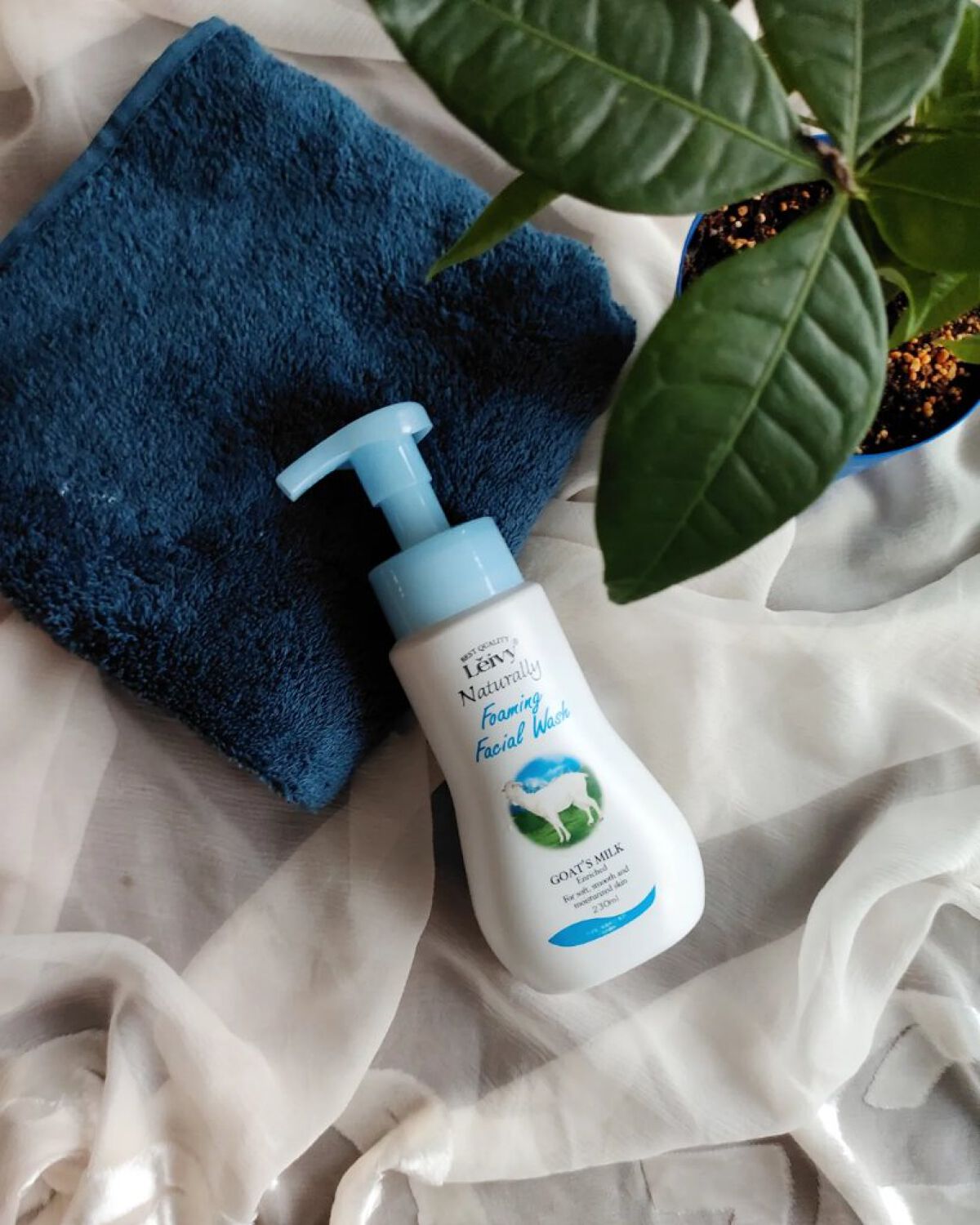 レイヴィーフォームフェイシャルウォッシュ ゴートミルク/Leivy/洗顔フォームを使ったクチコミ（1枚目）