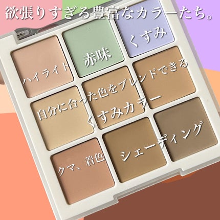 プロコンシーラーパレット/dasique/パレットコンシーラーを使ったクチコミ(3枚目)