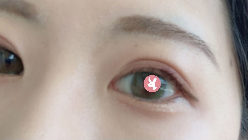 ザ ヘリテージ シャドウパレット/MERZY/アイシャドウパレットを使ったクチコミ（1枚目）