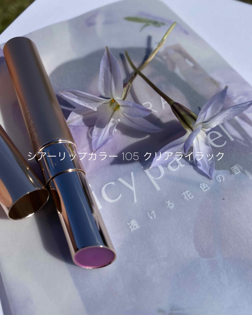 オペラ シアーリップカラー RN/OPERA/リップグロスを使ったクチコミ（2枚目）