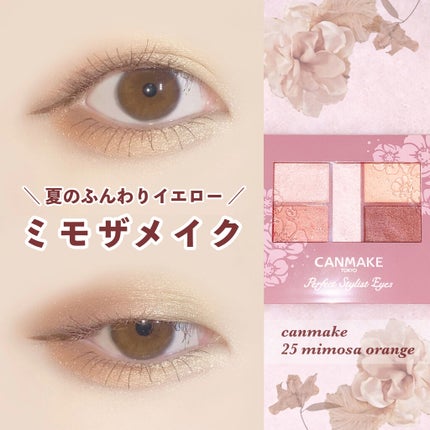 パーフェクトスタイリストアイズ/キャンメイク/アイシャドウパレットを使ったクチコミ(1枚目)