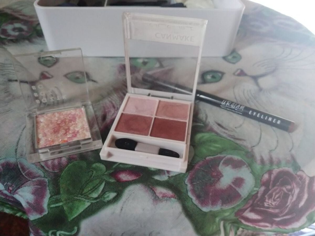 シルキースフレアイズ/キャンメイク/アイシャドウパレットを使ったクチコミ(1枚目)