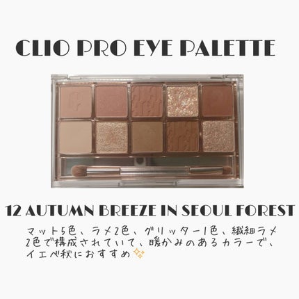 プロ アイ パレット/CLIO/アイシャドウパレットを使ったクチコミ(3枚目)