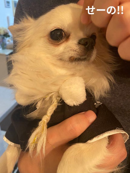 アイ カラー クォード/TOM FORD BEAUTY/アイシャドウパレットを使ったクチコミ(9枚目)