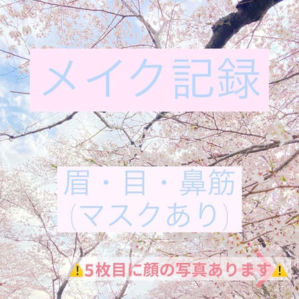 ミックスアイブロウ/キャンメイク/パウダーアイブロウを使ったクチコミ(1枚目)