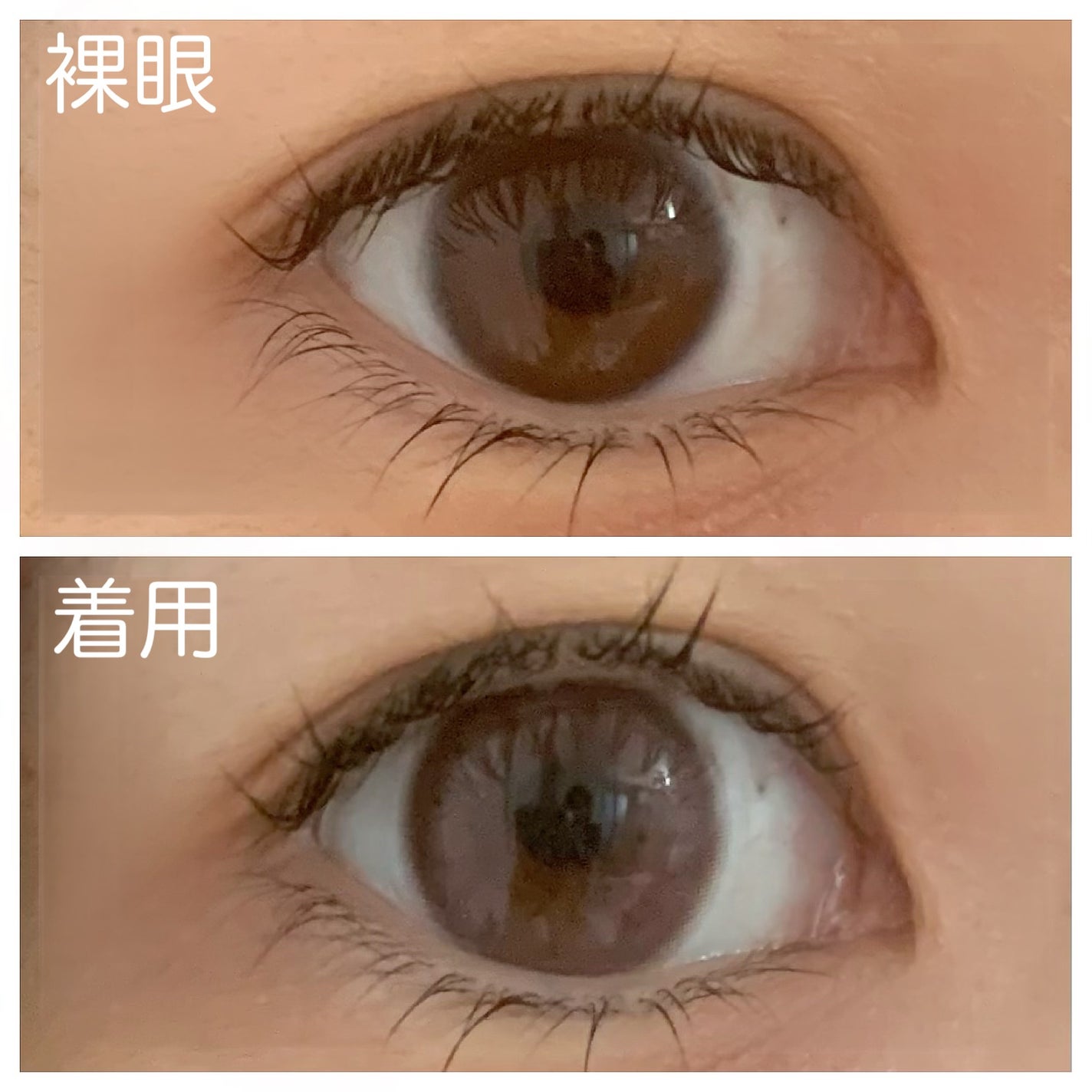 melady 1day/melady/ワンデー(1DAY)カラコンを使ったクチコミ(2枚目)