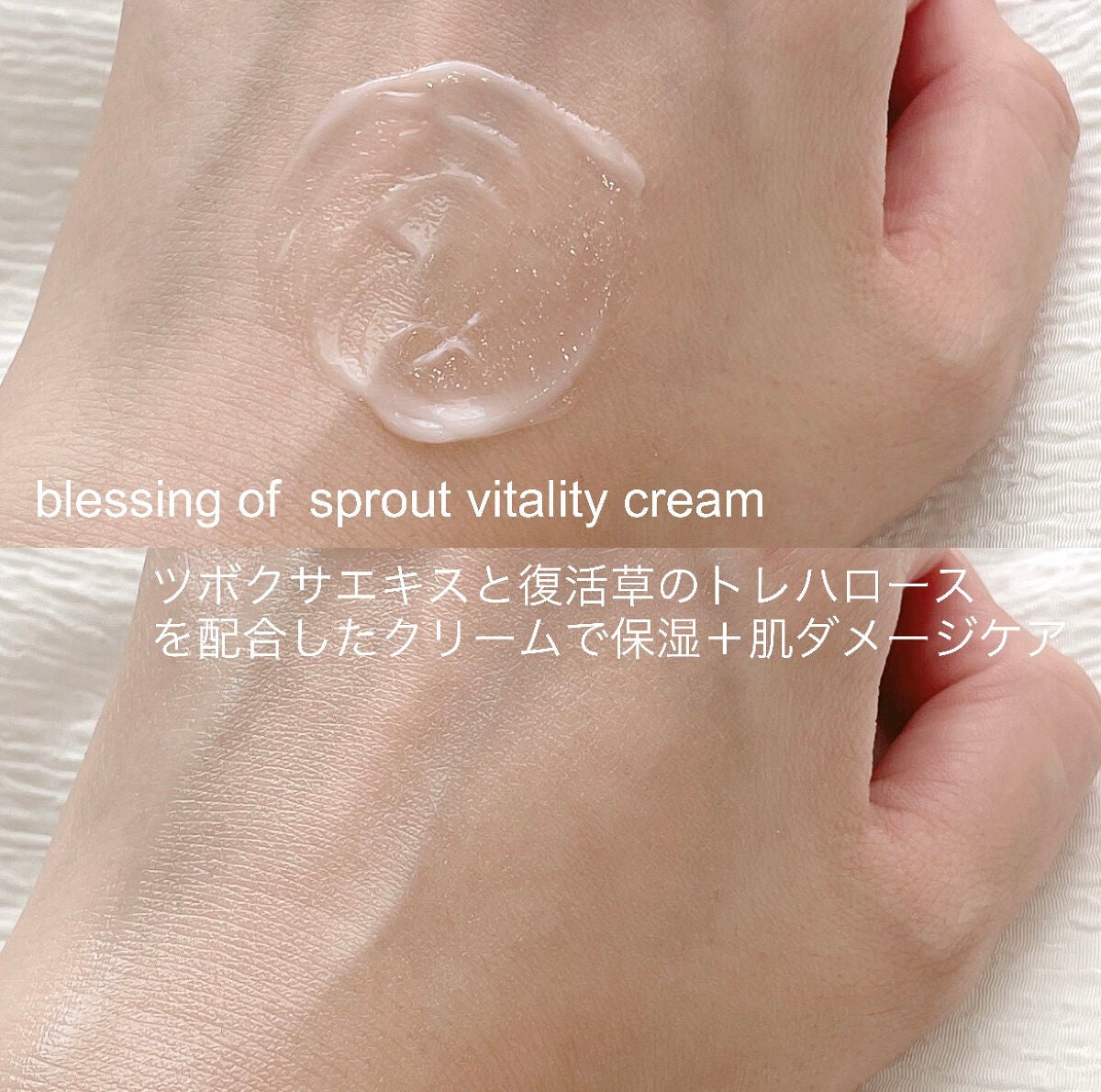 ブレッシングオブスプラウトラディアンストナー/HAYEJIN/化粧水を使ったクチコミ(4枚目)