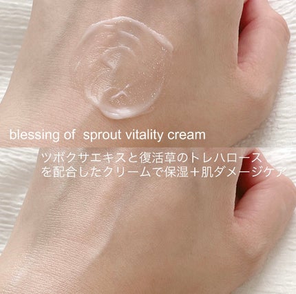 ブレッシングオブスプラウトラディアンストナー/HAYEJIN/化粧水を使ったクチコミ(4枚目)
