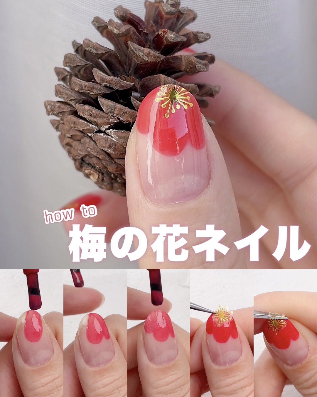 シェルズコート スタ－フィッシュレッド