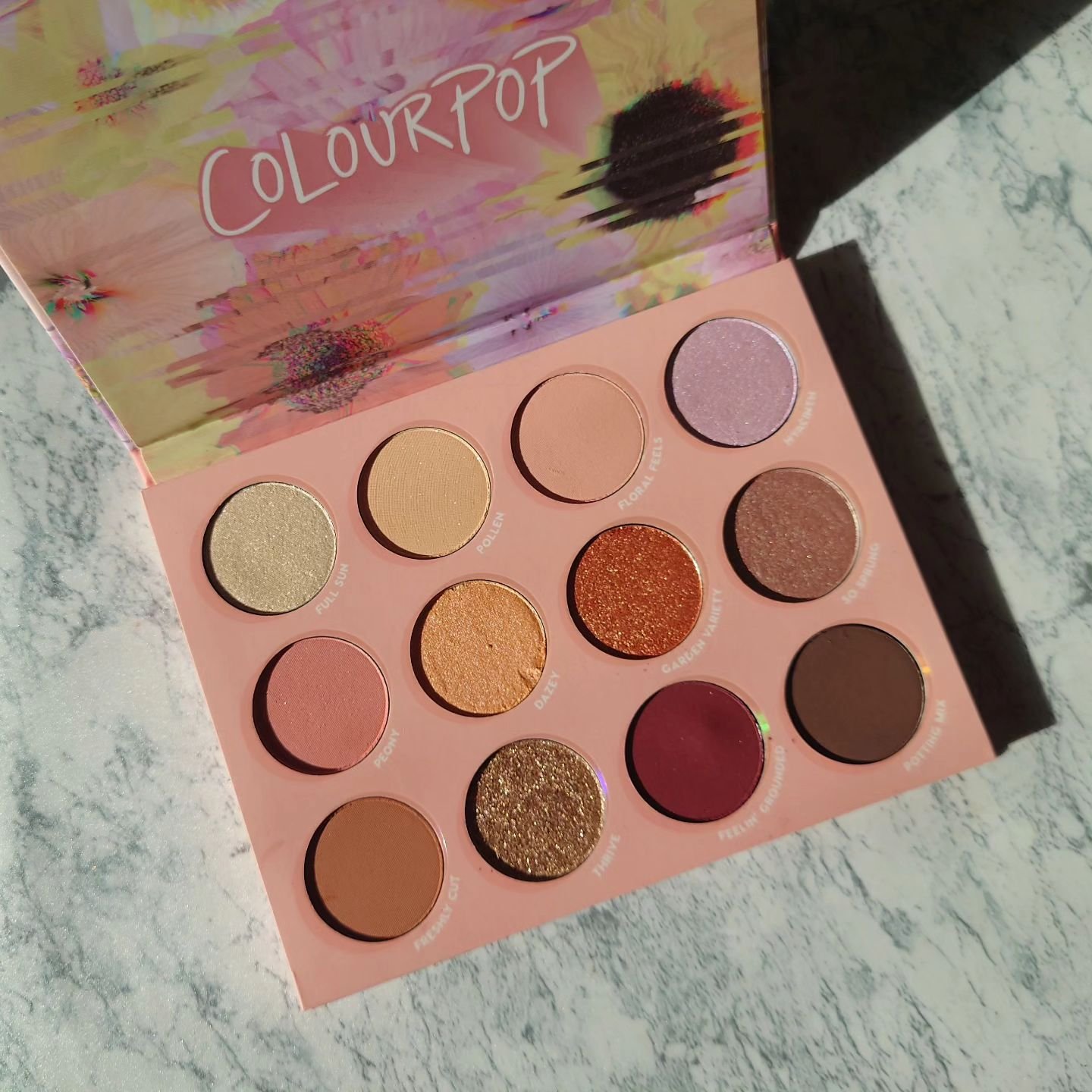 HEAVY PETAL/ColourPop/アイシャドウパレットを使ったクチコミ（3枚目）