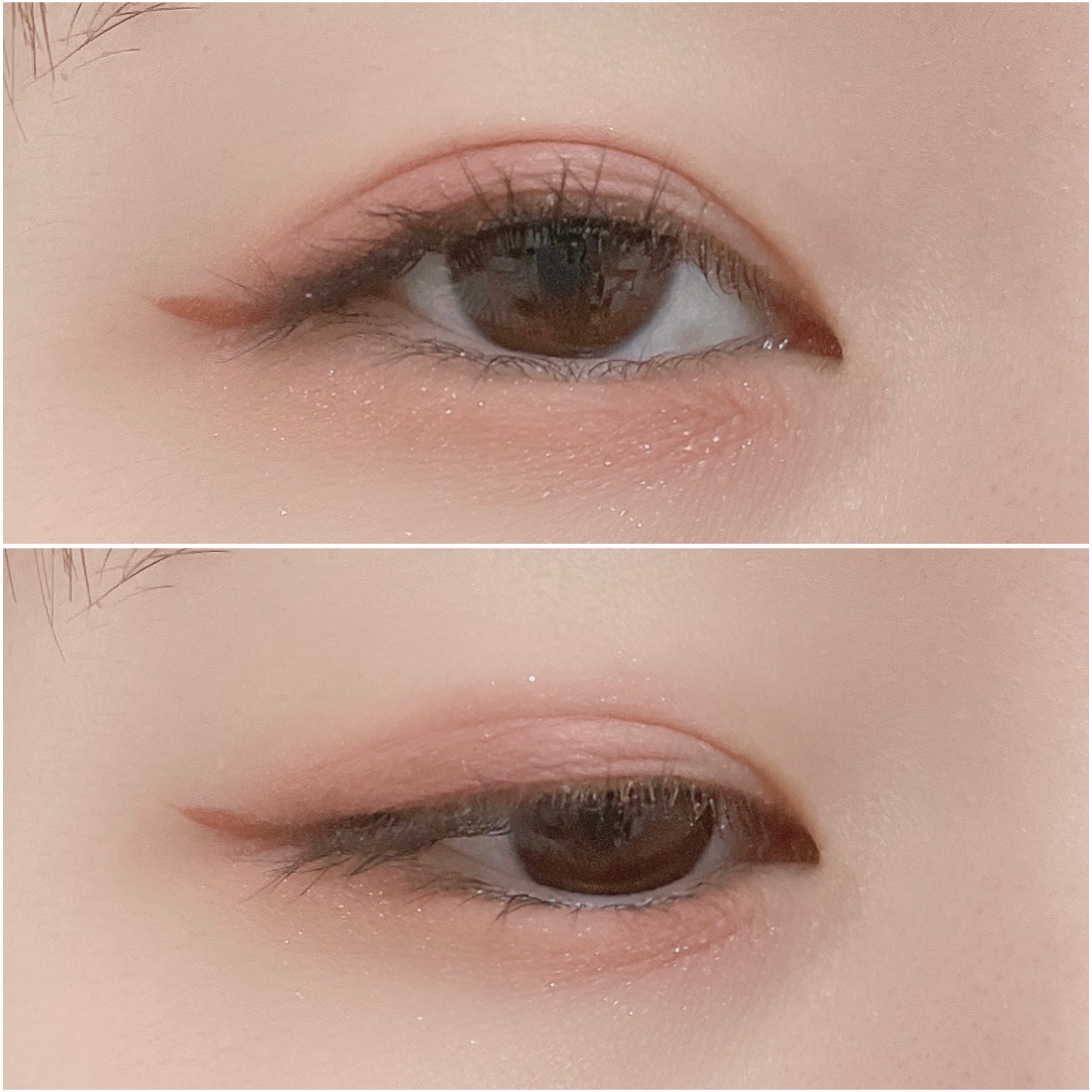 エクスプローラ12色 動物アイシャドウパレット/PERFECT DIARY/アイシャドウパレットを使ったクチコミ（3枚目）