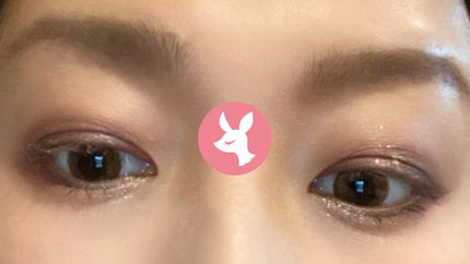 ラスティングリキッドライナー/キャンメイク/リキッドアイライナーを使ったクチコミ(6枚目)