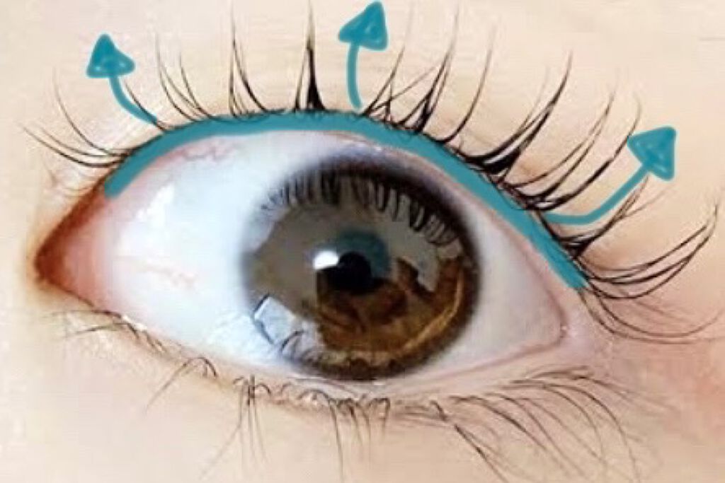 クイックラッシュカーラー/キャンメイク/マスカラ下地を使ったクチコミ（2枚目）