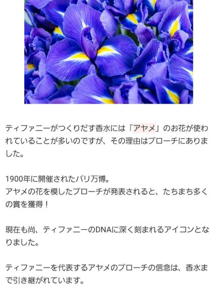 オードパルファム/TIFFANY&Co./香水(レディース)を使ったクチコミ(3枚目)