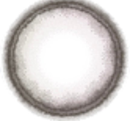 Angelcolor Bambi Series 1day /AngelColor/ワンデー(1DAY)カラコンを使ったクチコミ(1枚目)