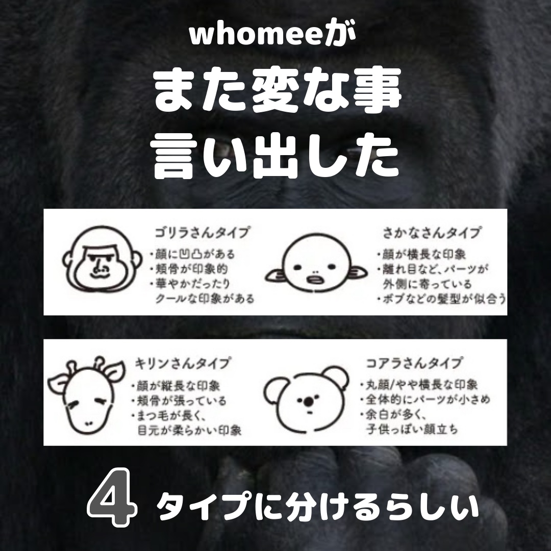 フーミー 時計回りパレット/WHOMEE/アイシャドウパレットを使ったクチコミ（2枚目）