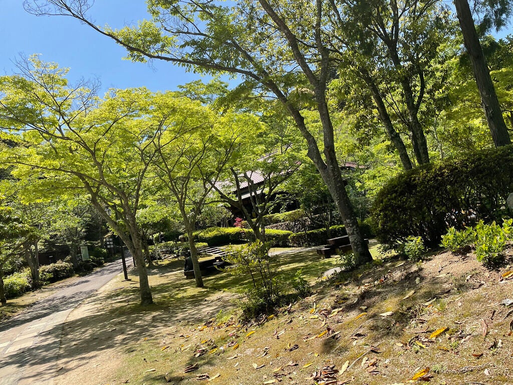 みお on LIPS 「皆さんは写真を撮るのは好きですか?どうも乾燥肌のみおです!なん..」(7枚目)