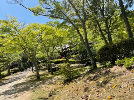 みお on LIPS 「皆さんは写真を撮るのは好きですか?どうも乾燥肌のみおです!なん..」(7枚目)