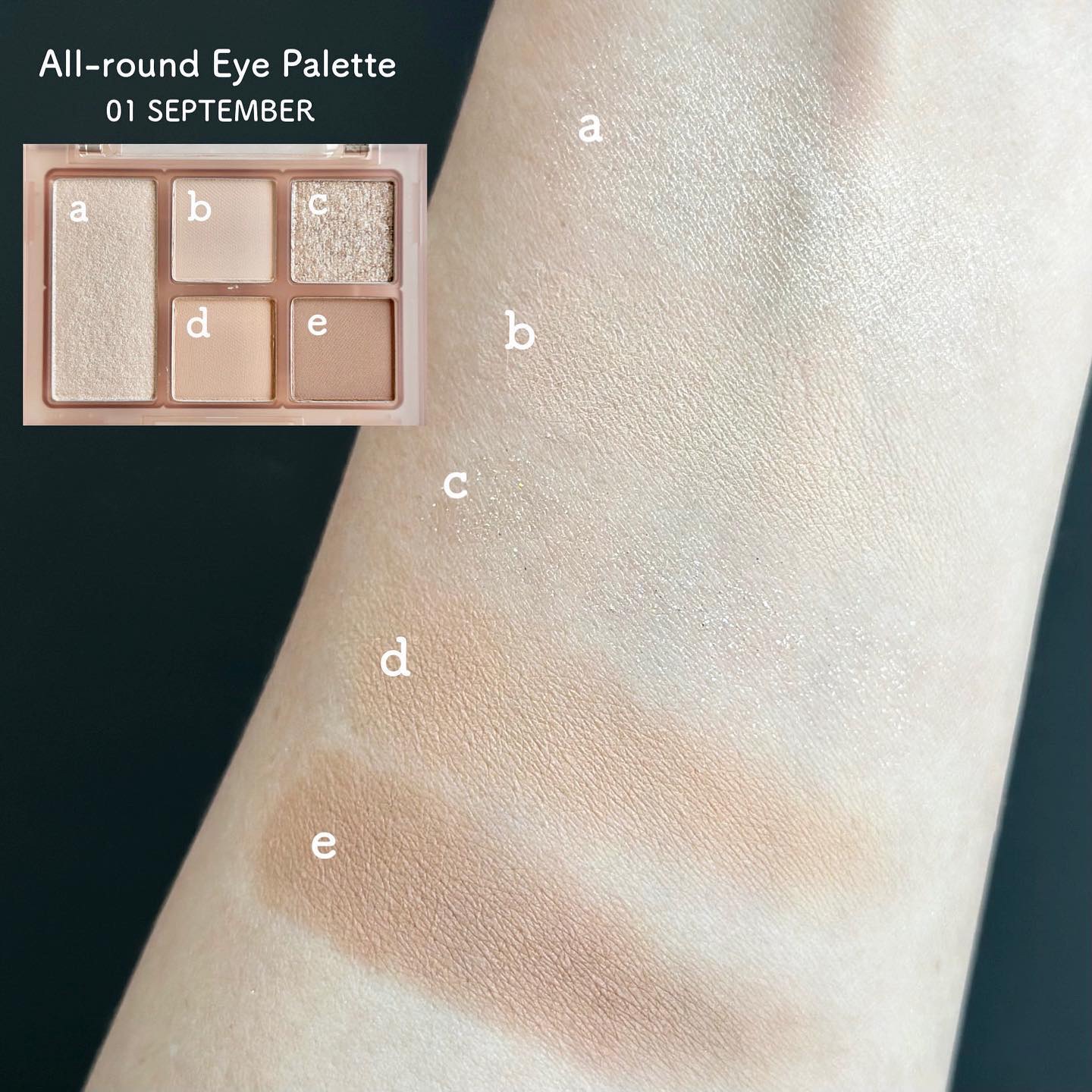 オールラウンドアイパレット/hince/マルチパレットを使ったクチコミ（2枚目）